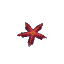 Starfish