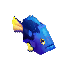 Blue Tang