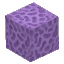 Purple Coral Block