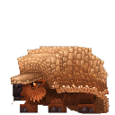 Armadillo