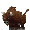 Bison
