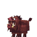 Boar
