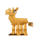 Camel Calf