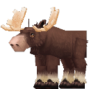 Moose Bull